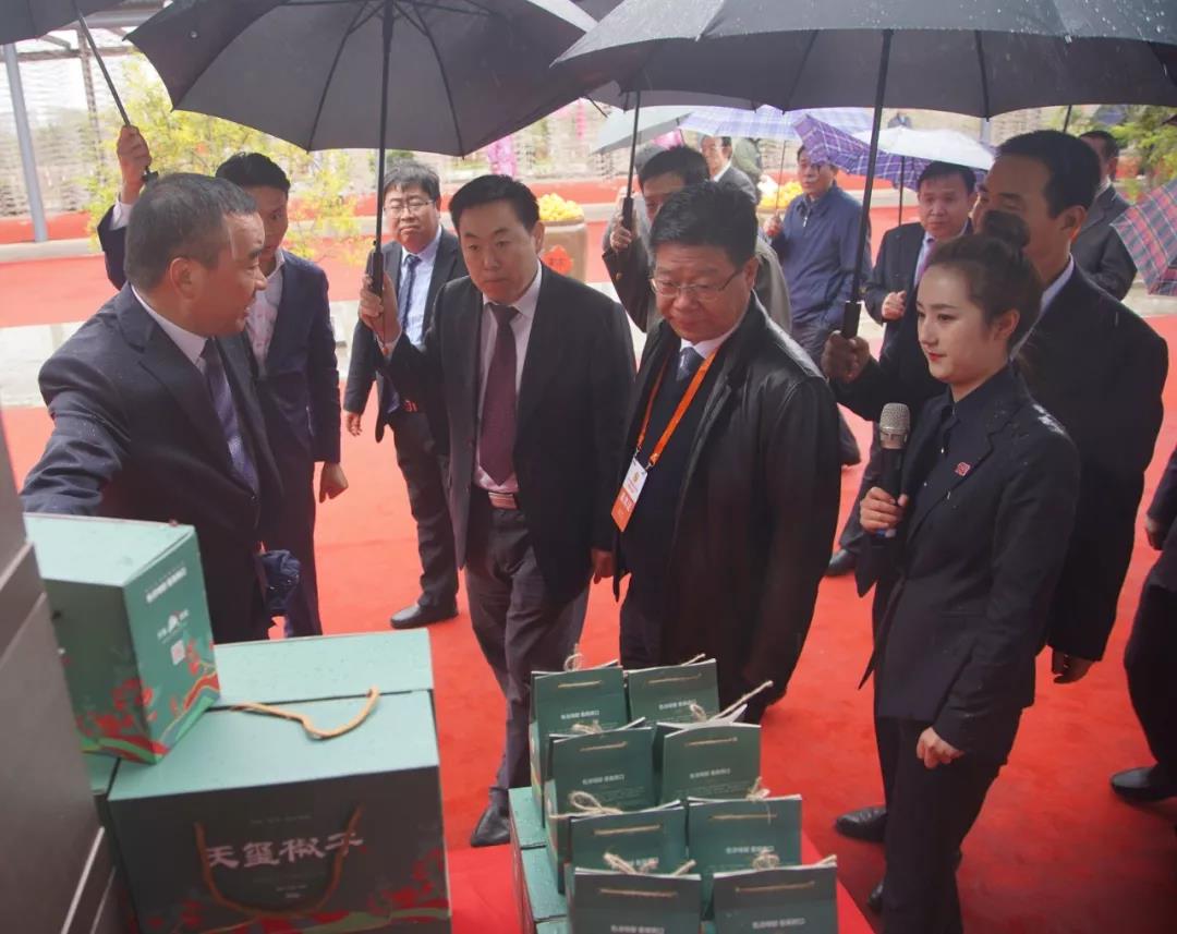 5db3a3ed0d109.jpg 5db3a3ed0d109.jpg