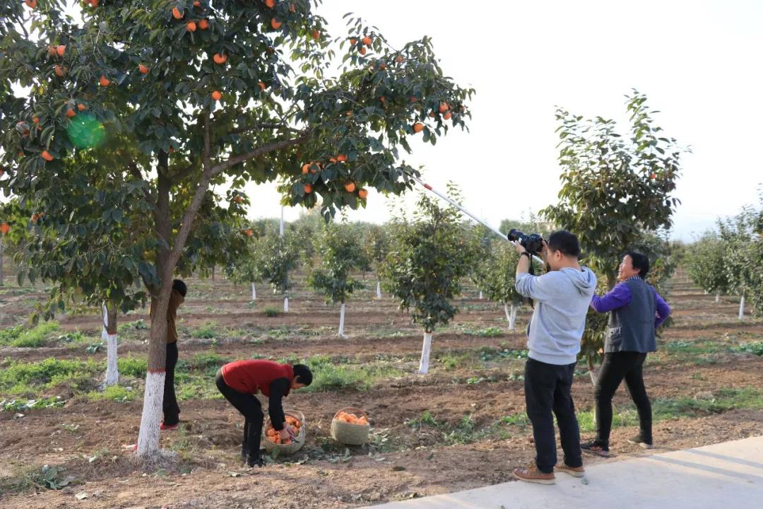 5dbfe0717002c.jpg 5dbfe0717002c.jpg