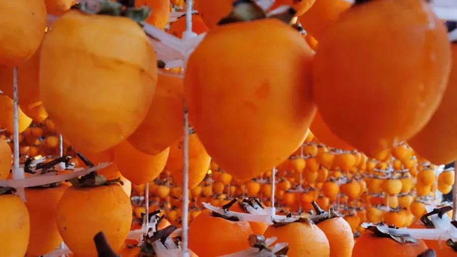 5dd73a1b96b1d.jpg 5dd73a1b96b1d.jpg