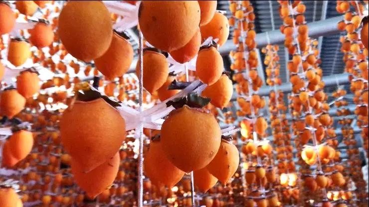 5dd73ac7e487f.jpg 5dd73ac7e487f.jpg