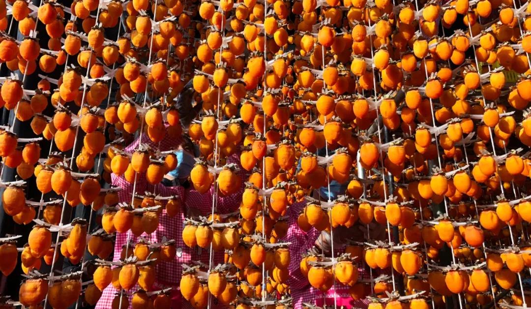 5dd73c227763b.jpg 5dd73c227763b.jpg