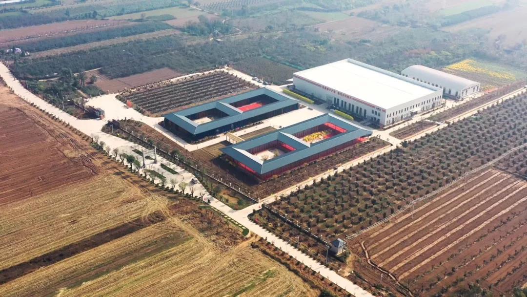 5e095a05c63cc.jpg 5e095a05c63cc.jpg