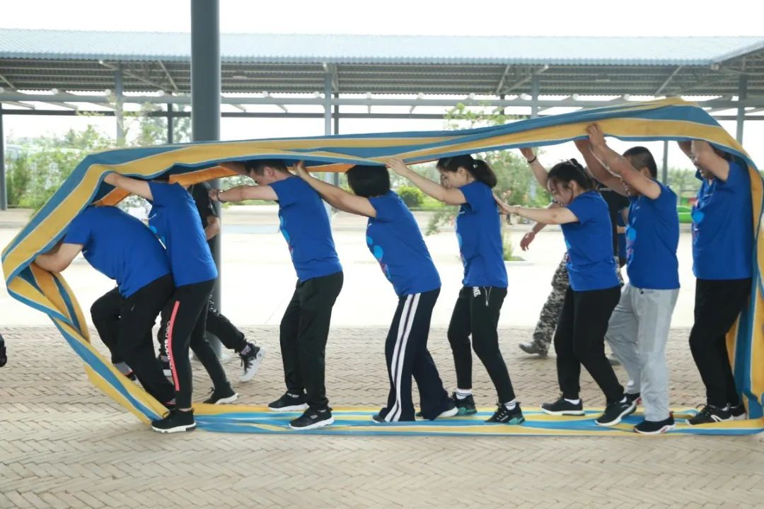 5f166655ce18c.png image.png