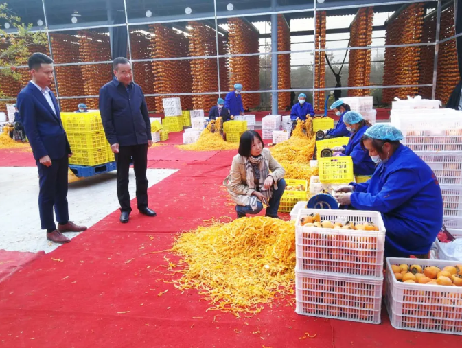 5fa26732351dc.png image.png