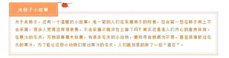 5fe5b4a1ed8c8.png image.png