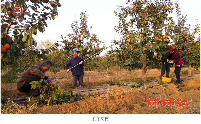 5fe5b4af62317.png image.png