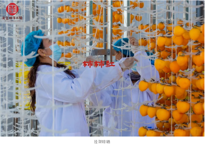 5fe5b4cca5b44.png image.png