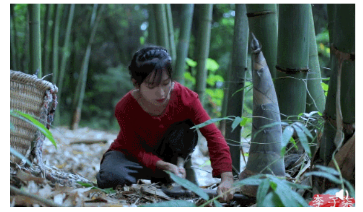 604b24b00c2f9.png image.png