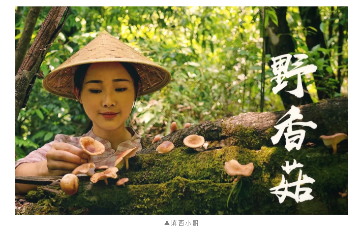 604b24e470d3c.png image.png