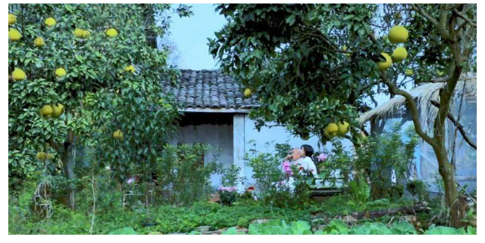 604b24f85e78c.png image.png