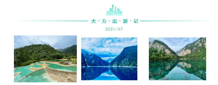 60f4cd8a30265.png image.png