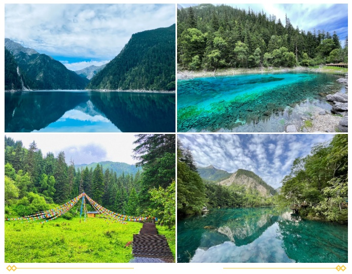 60f4ce0e59412.png image.png