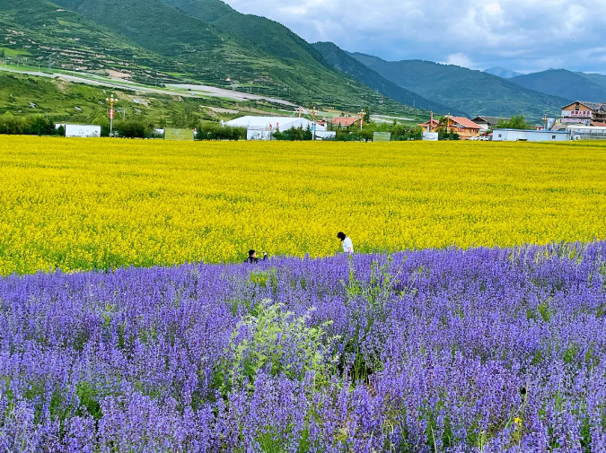 60f4ce62ae909.png image.png