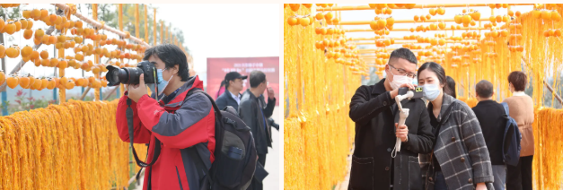 617f4de8c8c4b.png image.png