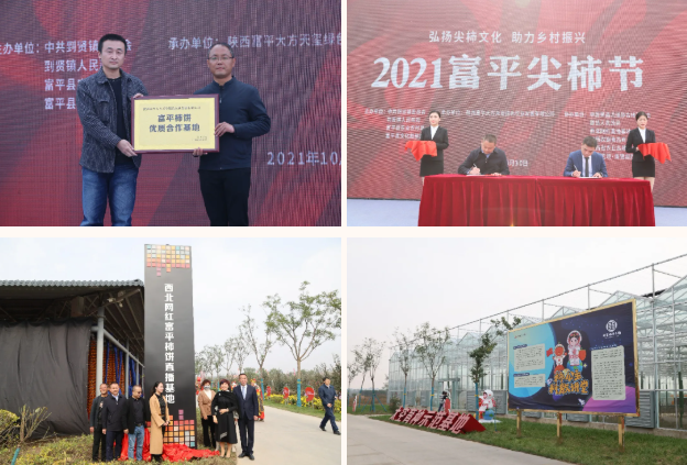 617f4e990328c.png image.png