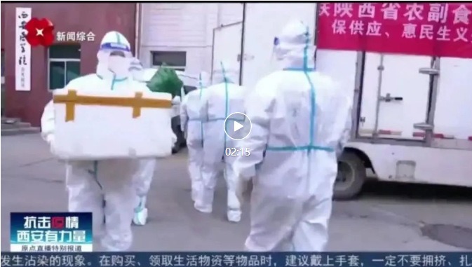 61e8f33e4ea4a.png image.png