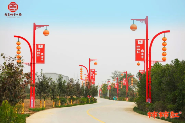 6266446d9246a.png image.png