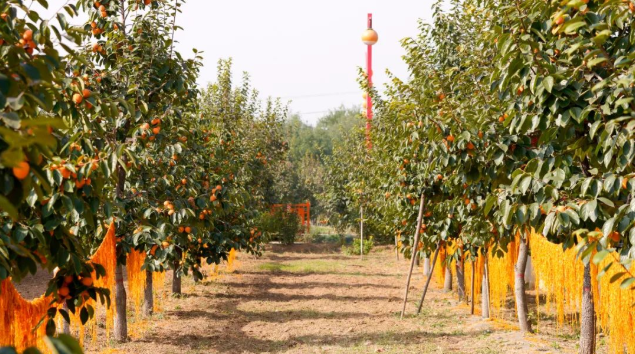 6359e2f55a806.png image.png