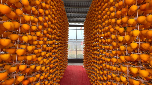 6359e303b3b30.png image.png