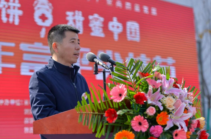 6363189a29047.png image.png