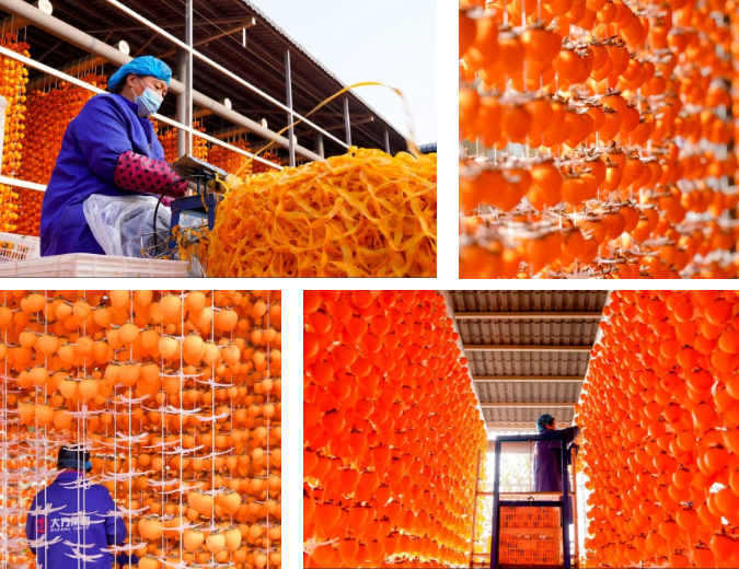 636318c236295.png image.png