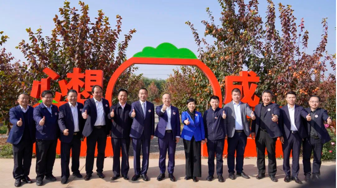 63631928c65ad.png image.png